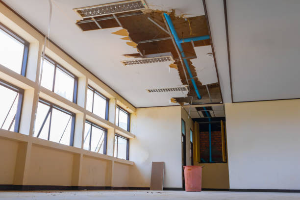 Best Water damage contractors near me  in Latrobe, PA