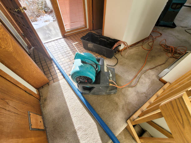 Best Water damage restoration company  in Latrobe, PA