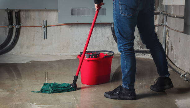 Best Water damage contractors near me  in Latrobe, PA