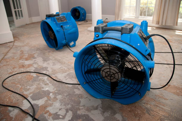Water damage restoration mold remediation in Latrobe, PA
