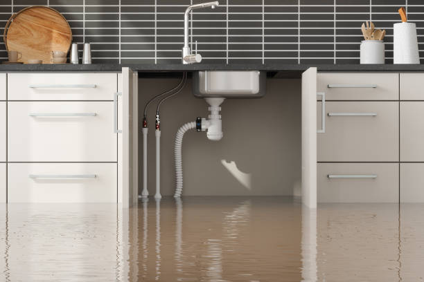 Best Water damage restoration near me  in Latrobe, PA